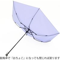 杉本商事55cm 男女兼用ミニ傘 耐風骨 無地 SS5050PR1セット（12本）（直送品）