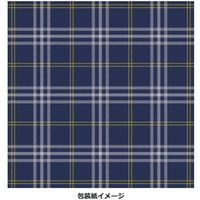 レイメイ藤井 【ギフト包装品】ダヴィンチ ロロマクラシック システム手帳 ポケットサイズ 14mm ブルー DP3015A 1冊（直送品）