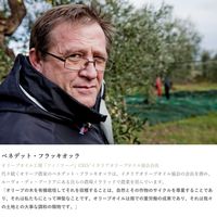 日仏貿易 【アルチェネロ】有機エキストラ・ヴァージン・オリーブオイル フルッタート 250ml【オーガニック】 C1-64 12個（直送品）