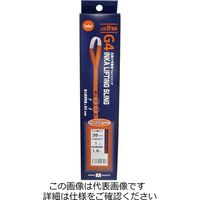 インカ 玉掛け作業用ベルト インカリフティングスリング G4 35mm×1m JIS4Eー35×1m JIS4E-35x1m 1本（直送品）