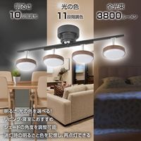オーム電機 LED4灯シーリングライト ダークブラウン 06-1648 1台（直送品）