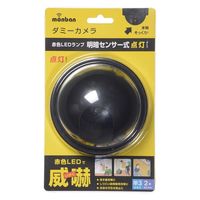 オーム電機 monban ダミーカメラ 明暗センサー式点灯タイプ 07-8696 1台