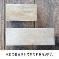 ポッシュリビング トイレットペーパーホルダー ダブル ブラック W31×D11×H9cm アイアン/マンゴーウッド 41283 1個（直送品）