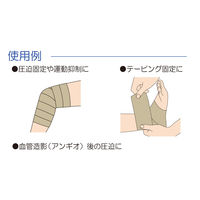 竹虎 ワーデルCP No.5 6巻入 060563 1箱(6巻入)