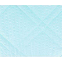 【並行輸入品】iiもの本舗 吸水速乾 敷パッド ライトグリーン 約100×200cm 1袋（1枚入）