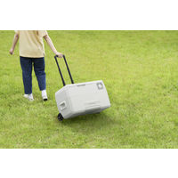 アイリスオーヤマ ポータブル冷蔵冷凍庫 30L IPD-3B-W 1台