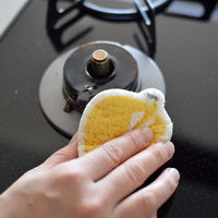 （100%天然素材）ポップアップスポンジ 水でふくらむ キッチンスポンジ カタカタ かもめ 1個 イーオクト