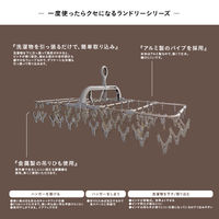 藤栄 アルミランドリーハンガー 42ピンチ カッパーブラウン 1セット（3個）