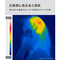 SALONIA（サロニア）　スピーディーイオンドライヤー ブラック 大風量 速乾 軽量 ヘアドライヤー  I-ne