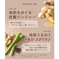 BOTANIST（ボタニスト）　ルース　エイジングケア　ボタニカルシャンプー　ストレート（詰替）　400ml I-ne