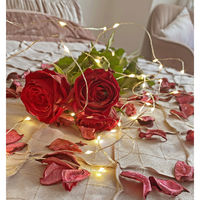 コロナ産業 ジュエリーライト100球 電球色 タイマー付 JT100D 1個（直送品）