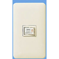 パナソニック フルカラーモダンプレート1コ用(10入) WN6001W010 1式（直送品）