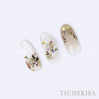 TSUMEKIRA(ツメキラ) ネイルシール RIEプロデュース2 grass garden NN-RIE-102 1セット(3枚)（直送品）