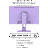 ジャパンネクスト  27インチ ワイドゲーミングモニター(1920x1080/IPS/200Hz) JN-IPS27G200F-PP（直送品）
