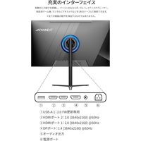 ジャパンネクスト  31.5インチ ワイド4K液晶ディスプレイ(3840x2160/IPS/DP) JN-IPS315U-HSP（直送品）