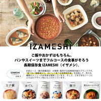 【非常食】杉田エース IZAMESHI イザメシ 煮込みハンバーグ 1個
