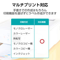 ラベルシール 表示・宛名ラベル プリンタ兼用 30面 A4  角丸 22シート エレコム EDT-ECNLR30S22 1個（直送品）