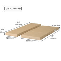 【軒先渡し】コイズミファニテック Hagu ねるまっと 幅620mm ベージュ HG-NC602VE 1台（直送品）