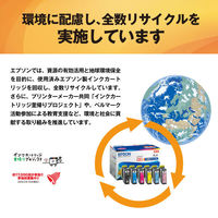 エプソン（EPSON） 純正インクカートリッジ ICLGY79A1 ライトグレー 1個（わけあり品）