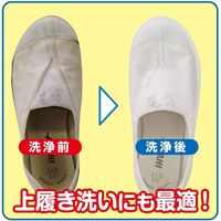 エネロクリーン Mー2 1箱（2個入） 部分洗い洗たく石けん カミナガ
