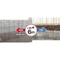 佐賀海苔(株) 佐賀海苔 一等級佐賀有明海産焼のり 6枚×5袋 4589645911101 1セット(5袋)（直送品）