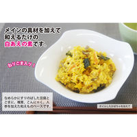 堂本食品 白あえの素 150g×12個 4904566281834 1セット(12個)（直送品）