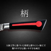 ランテル・メディエール Anna Rossi 包丁セット 8点【調理用ハサミ・研ぎ棒付き・包丁立て】 YN9006 1組（直送品）