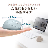 サンワサプライ 静音ワイヤレス小型エルゴノミクスマウス（充電式・5ボタン） MAーEWBS522BG 1個