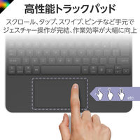 iPad専用ケース付き キーボード 11インチ iPad Pro (M4)用 着脱可能 黒 TK-CA10BPBK エレコム 1個（直送品）