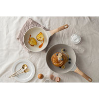 アイリスオーヤマ ナチュかるフライパン20cm IHガス火対応 NTL-F20PG 1個（直送品）