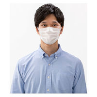 アイリスオーヤマ ナノエアーマスク ゆったりワイドサイズ 7枚入 PK-NI7LL 1個（直送品）