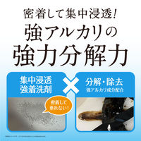 アブラトルネード 油・コゲ落とし剤 本体 260mL 1個 リベルタ