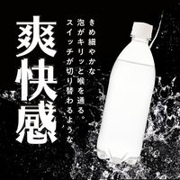 アイリスフーズ 富士山の強炭酸水 ラベルレス 1L 1セット（15本入×2箱）