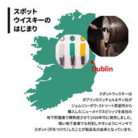 イエロースポット 12年 46度 アイリッシュウイスキー 700ml 1本 蜂蜜や赤リンゴの甘み ギフトボックス入り ペルノ・リカール