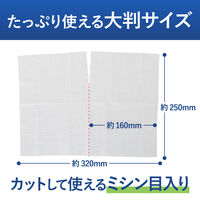 HibiFull ヒビフル 流せるトイレのお掃除シート 大判厚手 ミントの香り トイレのおそうじシート 1パック（12枚入×2個）