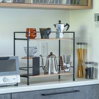 ポッシュリビング スタンドシェルフ W46.5×D20×H40cm マンゴーウッド/アイアン 41347 1個（直送品）