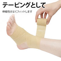 竹虎 タケトラピタッとタイ 2.5cmx4.5m（伸長） 021507 1巻