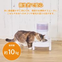 ご飯台 猫/犬 (幅195×奥行365mm以内の 給餌器 給水器 など対応) ホワイト PET-ST01WH エレコム 1個（直送品）