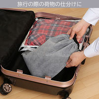 アストロ 活性炭消臭巾着 171-62 1枚（直送品）