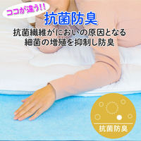 アストロ ドライ&ドライ 防ダニ抗菌防臭!吸湿マット シングル2枚組 614-98 1セット(2枚)（直送品）