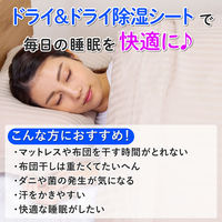 アストロ ドライ&ドライ 防ダニ抗菌防臭!吸湿マット ダブル 614-99 1枚（直送品）