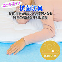 アストロ ドライ&ドライ 防ダニ抗菌防臭!吸湿押入れシート 617-75 1枚（直送品）