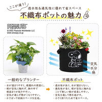 アストロ スヌーピー フェルトガーデンポット 10号 2枚組 900-37 1セット(2枚)（直送品）