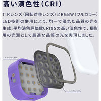 IFOOTAGE LEDハンディライト HL1-C4-PP 1台（直送品）