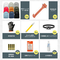 車載用防災セットDX リュックタイプ スカイグレー 1セット 防災セット 防災グッズ 非常用持ち出し袋 運転中 車 渋滞（直送品）