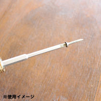 長輝LITETEC 電着ビットPH3×100mm 5本セット BBT-1003_5 1セット（直送品）