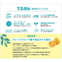 ビヨンドTT TT0003 平型おしぼり てふきんL (100枚入/袋) 240x180mm 1ケース(100枚x36袋=（直送品）