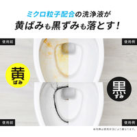 アイメディア トイレの黄ばみと黒ずみ落ちーる 1010219 1個（直送品）