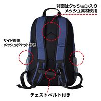 スワン CAPTAIN STAG リュックサック 26L 1267 レッド 1個（直送品）