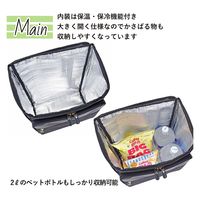 スワン SAXON cue 2way ショッピングキャリーバッグ 5233 ブラック 1個（直送品）